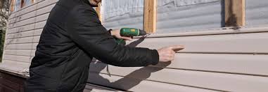 Best Siding Painting and Refinishing  in Cavalier, ND